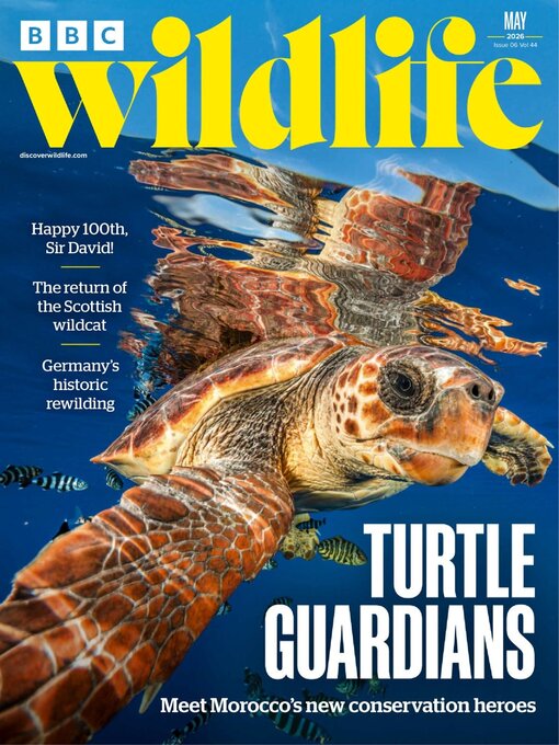 Cover image for BBC Wildlife Magazine